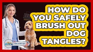 How Do You Safely Brush Out Dog Tangles?