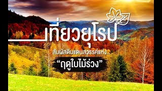 สัมผัสดินแดนสวรรค์แห่งฤดูใบไม้ร่วง ที่ไม่ควรพลาดในทวีปยุโรป