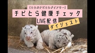 【チビとら健康チェック配信】ダイジェスト　東武動物公園　公式YouTubeチャンネル