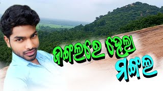 ଜଙ୍ଗଲରେ ହେଲା ମଙ୍ଗଲ !! jungle mein hua Mangal !! odia new vlog today !! #odiavlog !! andy sena videos