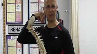 Advanced Exercise to Correct Forward Head Posture (Against Gravity) - Dr Mandell