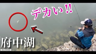 【バス釣り】四国：香川県・府中湖『初登場』この男が魅せる‼︎  笑いあり、涙ありのフィッシングエンターテイメント！　感動の結末やいかに⁉︎  ボトムアップ　川村光大郎さんの大ファン