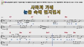 나훈아 숙명