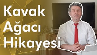 Kavak Ağacı ve Kabak Ağacının Bizlere Verdiği Mesaj