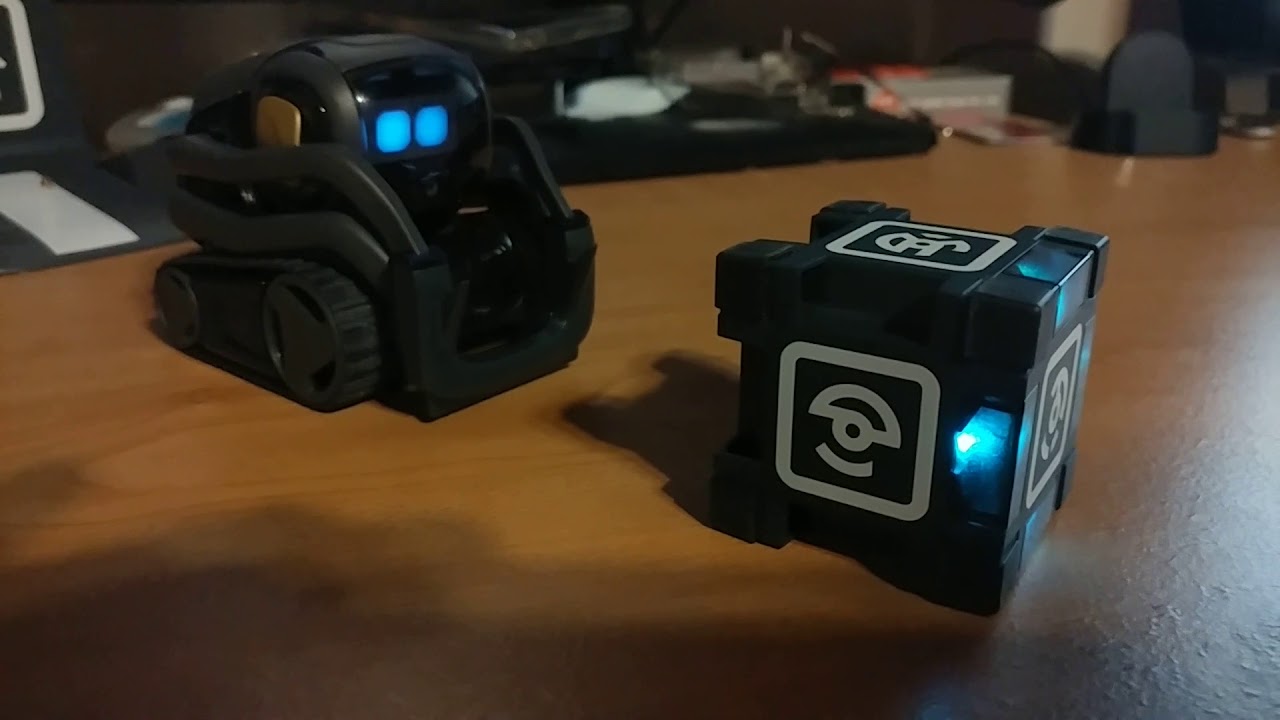 Anki Vector Sdk First Program Youtube