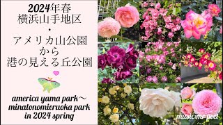 【2024年春 横浜山手地区・アメリカ山公園から港の見える丘公園】america yama park〜minatonomieruoka park in 2024 spring