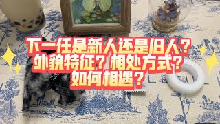 下一任是新人还是旧人？外貌特征？相处方式？如何相遇？