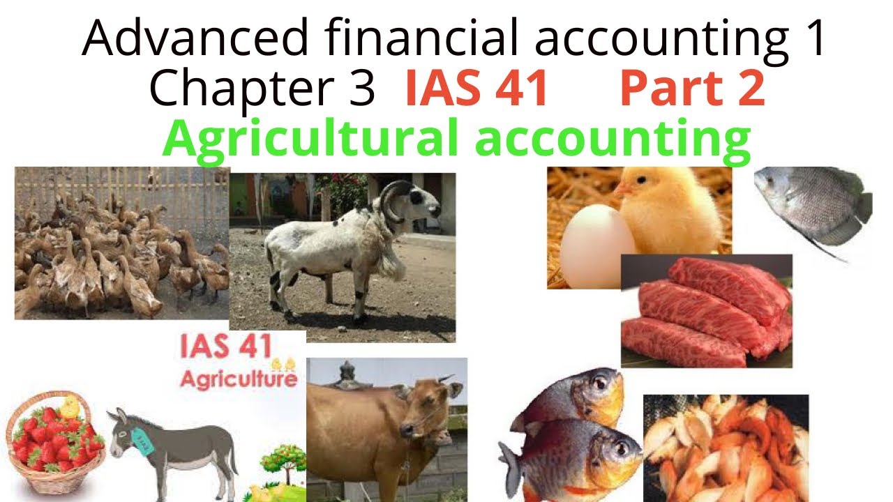 IAS 41 Agricultural Accounting | Advanced Accounting 1 Chapter 3 Part 2 ...