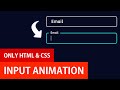 Input Animations with HTML and CSS | Input Label Animation