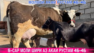 ПАРТИЯИ НАВ МОЛҲОИ АКАИ РУСТАМ 46-46. 5-САР ЗОТИ ШИРИ