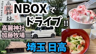 【NBOXドライブ】巾着田キャンプ場・高麗神社・加藤牧場へ【日高市】 久しぶりの御朱印です。牧場では搾りたてミルクで手作りの人気のアレを食べました♪