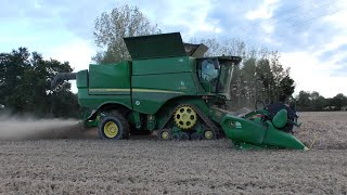 Harvest 2024 - October Sunset Millet Harvesting with John Deere S785 Combine