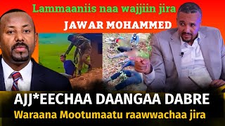 Jawar Mohammed - Ajj*eechaa mootummaan raawwachaa jiru, Lammaa magarsaa anaa waliin jira.