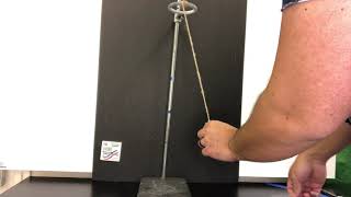 Pendulum Lab