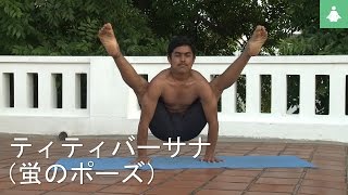 簡単にヨガをすることを学ぶ - Titibhasana