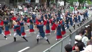 ヤーレンソーラン積丹町＆香美市　～2012YOSAKOIソーラン祭り(一次審査会場)