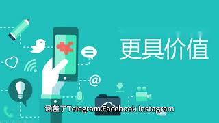 如何通过LIKE.TG购买WhatsApp账号并拓展海外市场