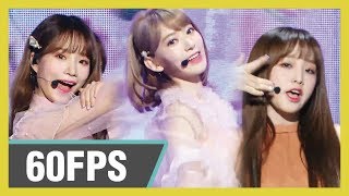 60FPS 1080P | IZ*ONE - Violeta, 아이즈원 - 비올레타  Show! Music Core 20190413