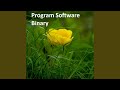 Program Software Binary