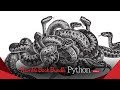 Humble Python Book by O'Reilly Bundle