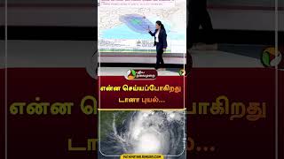 என்ன செய்யப்போகிறது டானா புயல்.. | #shorts | #danacyclone | #cyclone | #rain  | #odisha