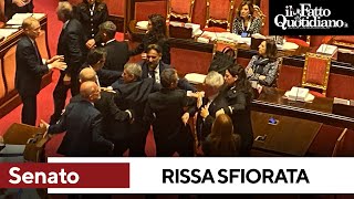 Rissa sfiorata in Senato tra Menia (FdI) e Croatti (M5s): i commessi li dividono. Seduta sospesa