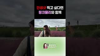 핑크뮬리에서 인생샷을 건져보세요 #shorts #국제커플 #vlog