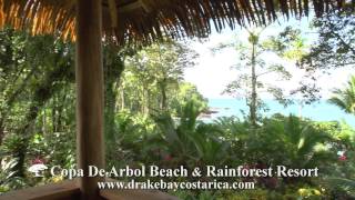 Costa Rica Eco Luxury, Copa De Arbol Beach & Rainforest Resort