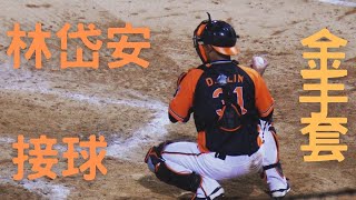 20220601新莊 統一獅vs富邦悍將 林岱安 接球