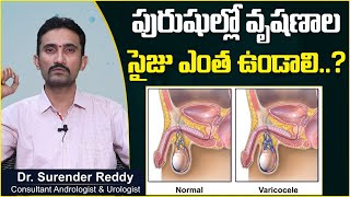 వృషణాల సైజు || What is The Normal Testicle Size For Men || Dr Surender Reddy || Androcare Clinic