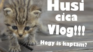 HUSI CICA VLOG!! :D