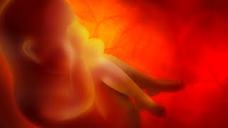 Human Physiology - Hormonal Changes during Pregnancy