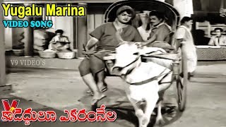 యుగాలు మారినా జాగాలు | వీడియో సాంగ్ | కాడెద్దులూ ఎకరంనేల | యన్.టి. రామ రావు | జానకి | V9 వీడియోస్