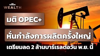 มติ OPEC+ หั่นกำลังการผลิต 2 ล้านบาร์เรลต่อวันในเดือนพฤศจิกายนนี้ | THE STANDARD WEALTH