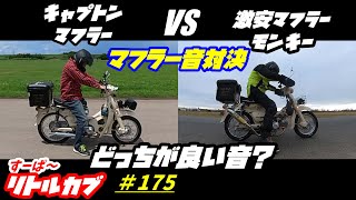 【週刊リトルカブ】リトルカブのキャプトンマフラー対モンキー激安マフラー音比較！