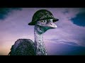 All Things History Episode 2: The Great Emu War