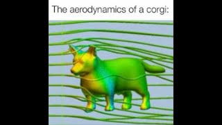 The Aerodynamics of a Corgi by Tohomoko