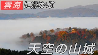 雲海に浮かぶ天空の山城『備中松山城』☆雲海展望台から見る絶景！