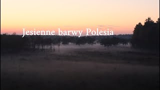 Jesienne barwy Polesia | las, zachód słońca i mgły nad bagnami | Poleski Park Narodowy