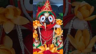 Today Mahaprabhu nka besa ||Ta badapana ku dhik#today#jagannath #ytshorts#yt #yt#shorts#Jagannath