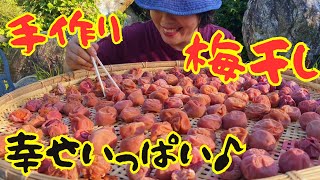 【美味しくなってどうもありがとう♪】リーサンの”初”手作り梅干し！