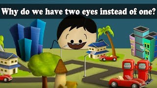 Why do we have two eyes instead of one? | #aumsum #kids #science #education #children