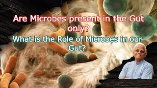 Are Microbes present only in the Gut? What is the Role of Microbes in our Gut?|| Dr Khadar Lifestyle