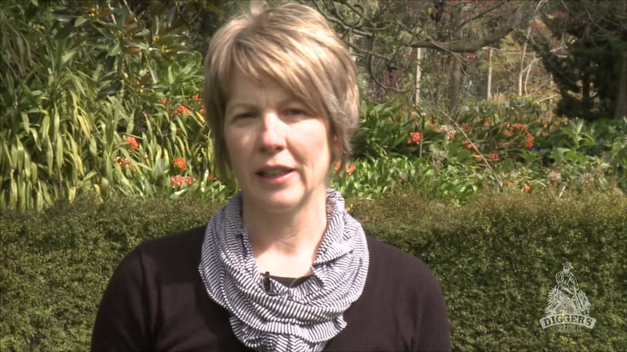 Composting Youtube Composting Youtube