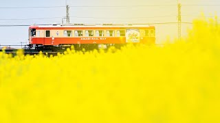 『鉄フォト』　甘木鉄道（佐賀、福岡県）