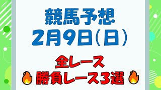 【競馬予想】２月９日（日）全レース予想／厳選３レース(平場予想・重賞予想)