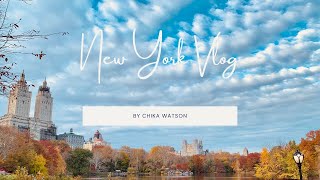 Japanese living in NYC | Foliage in Central Park, Brunch in Brooklyn, Boston Business Trip, Harvard