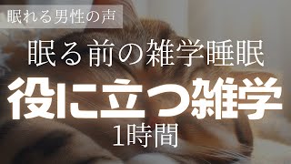 【眠る前の】役に立つ雑学1時間【睡眠導入】