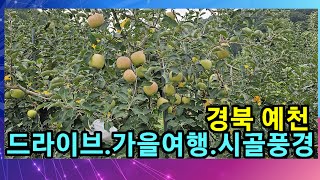 💕live 3회차 랜선여행 가을풍경 시장.농촌풍경 경북 예천 상설시장 중앙시장풍경 방앗간 한번다녀왔다