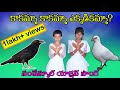 #kakamma kakamma song#Latest Sunday school action song#cbc song#sunday school song#dont missed#